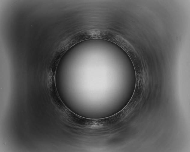 X0000100310702200806051456