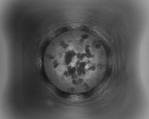X0000100310703200806051456