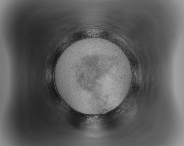 X0000100310705200806051456