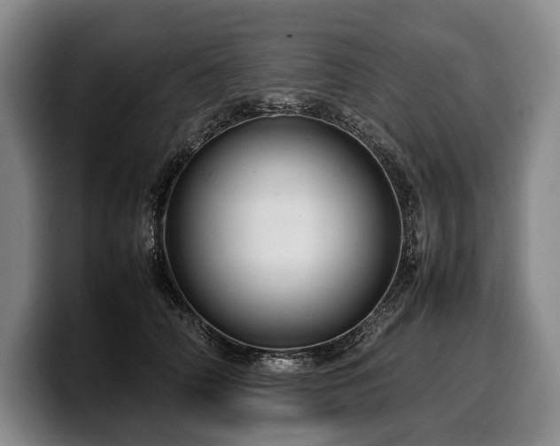 X0000100310706200806051456