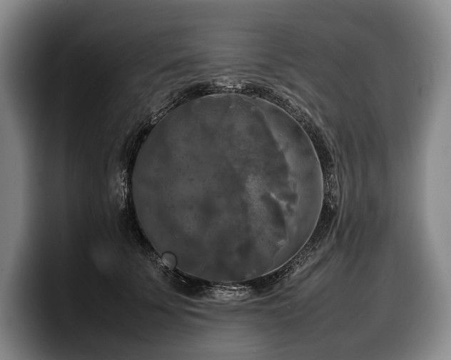X0000100310707200806051456