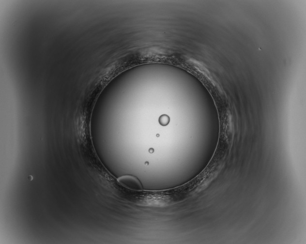X0000100310708200806051456