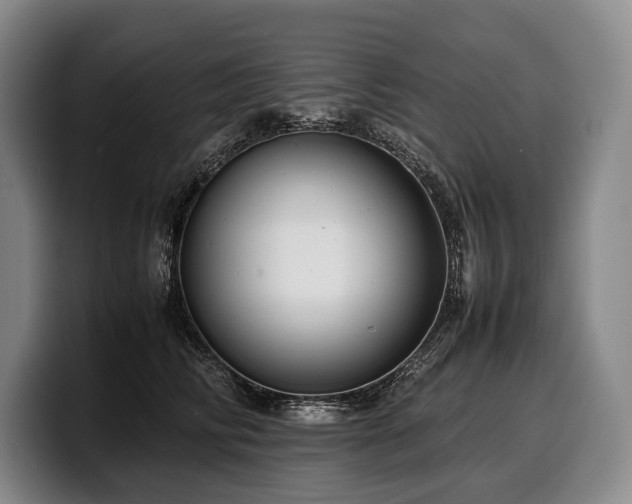 X0000100310710200806051456
