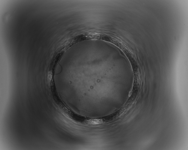 X0000100310711200806051456