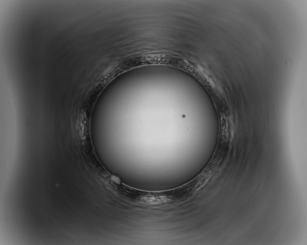 X0000100310712200806051456