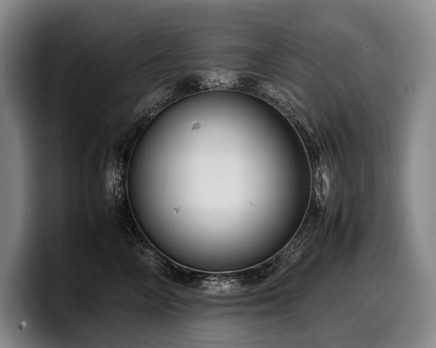 X0000100310714200806051456
