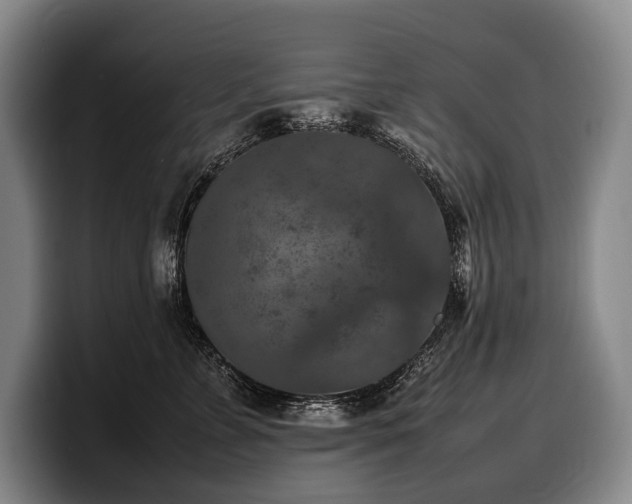 X0000100310715200806051456