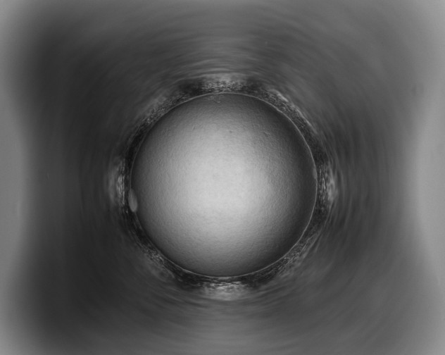 X0000100310716200806051456