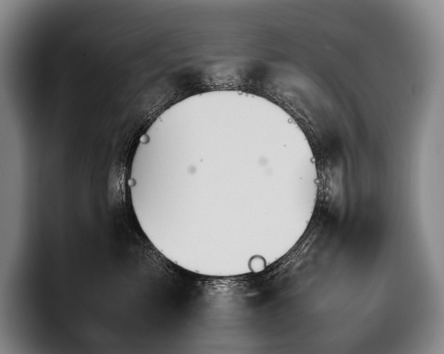 X0000100310717200806051456