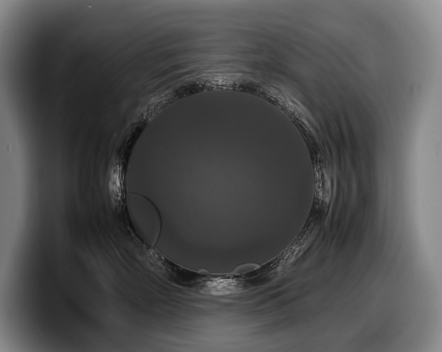 X0000100310718200806051456