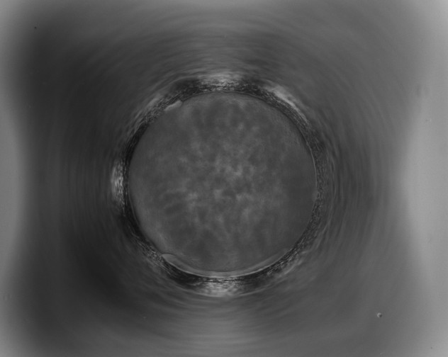 X0000100310720200806051456
