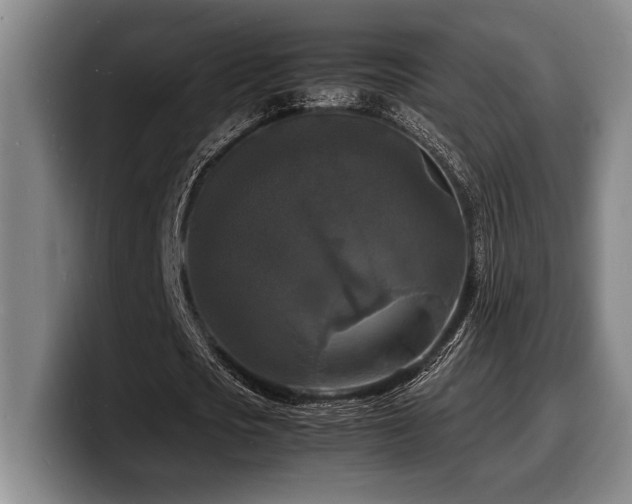X0000100310721200806051455