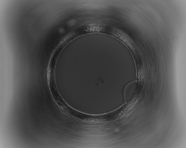 X0000100310722200806051455