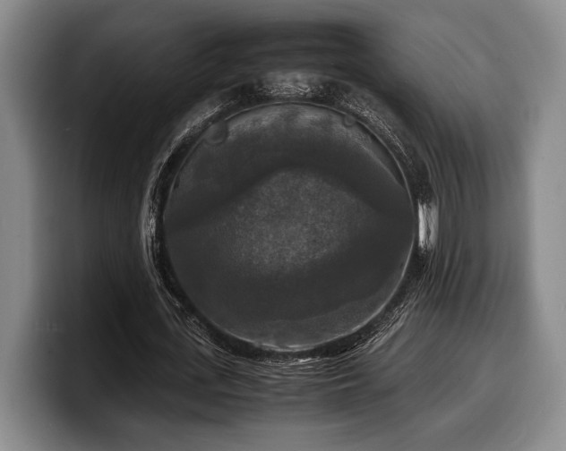 X0000100310723200806051455