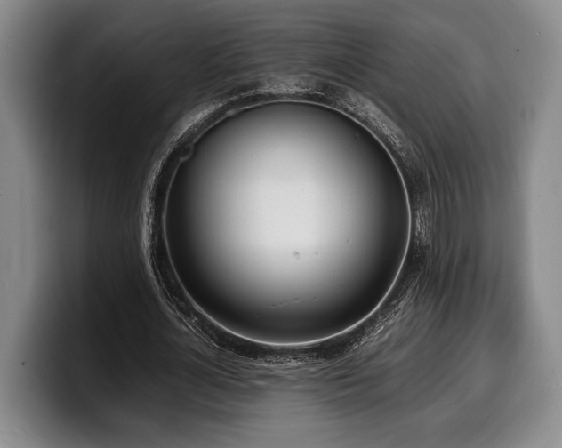 X0000100310724200806051455