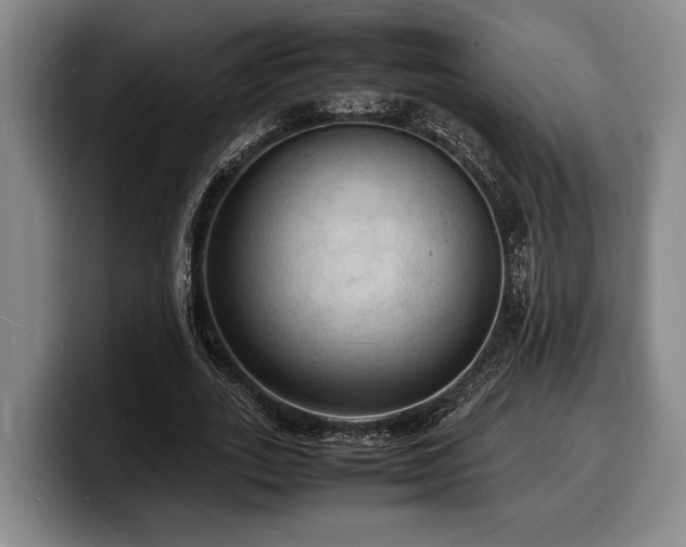 X0000100310727200806051455