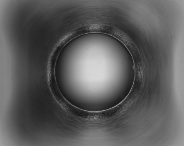 X0000100310728200806051455