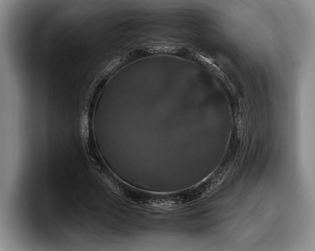 X0000100310729200806051455