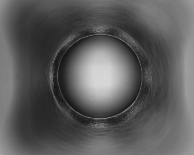 X0000100310730200806051455