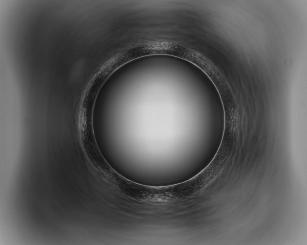 X0000100310731200806051455