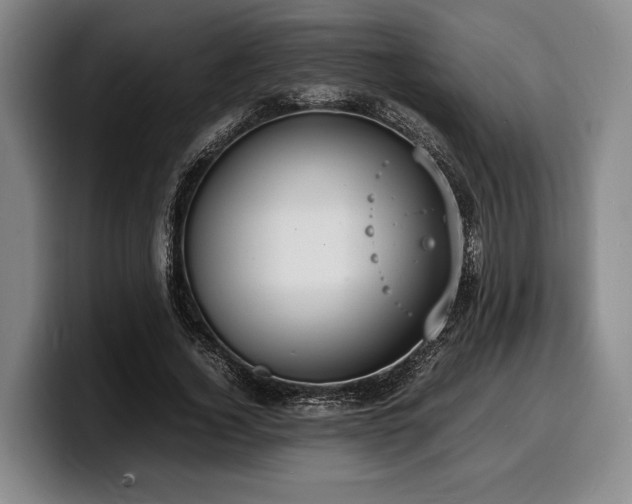 X0000100310732200806051455