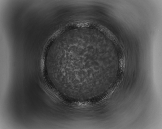 X0000100310733200806051455