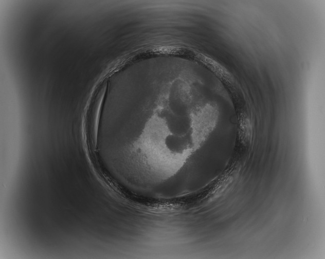 X0000100310734200806051455