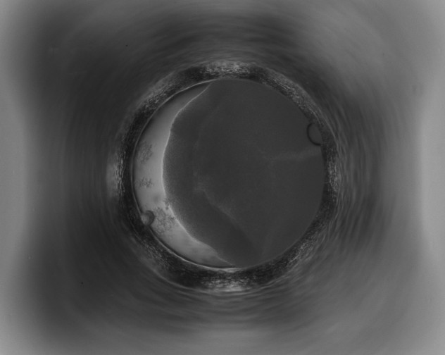 X0000100310735200806051455