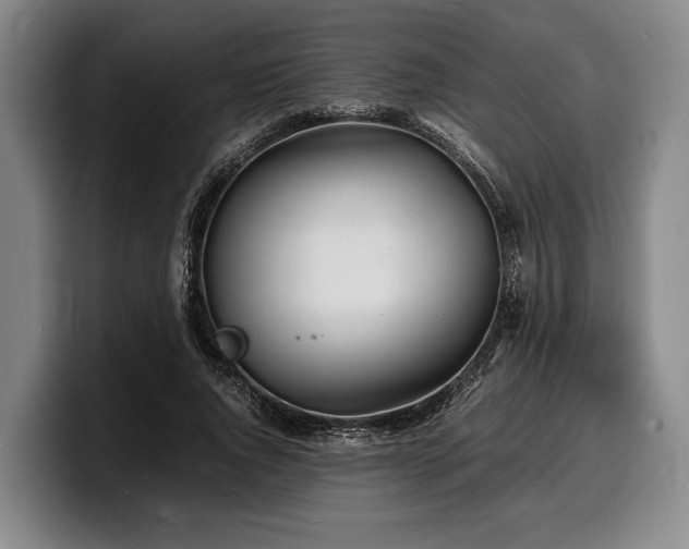 X0000100310736200806051455