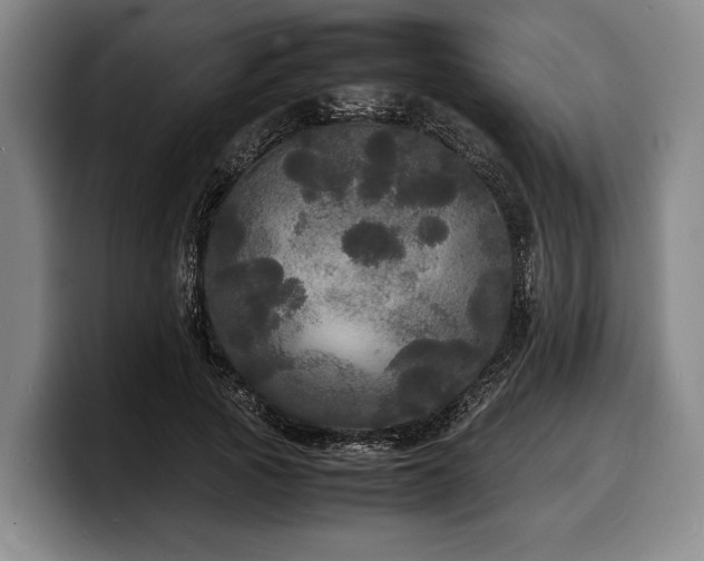 X0000100310737200806051455