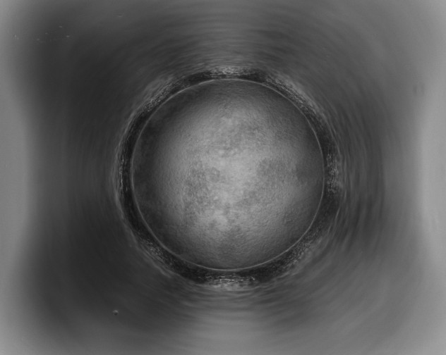 X0000100310738200806051455
