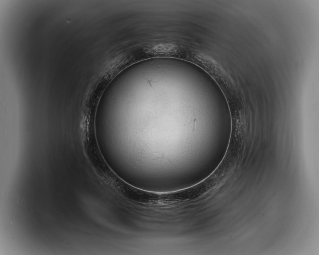 X0000100310739200806051455