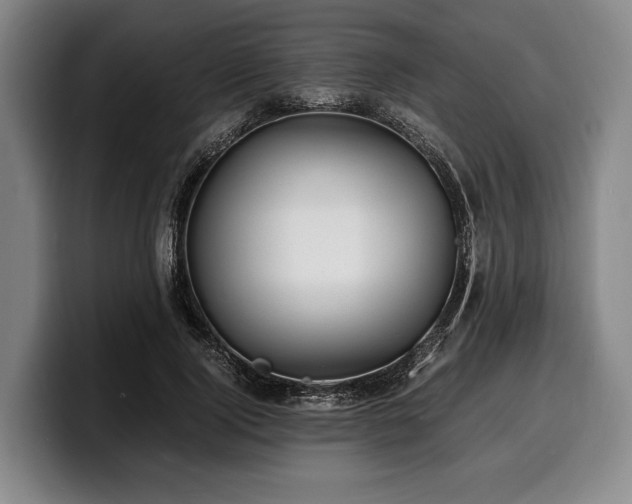 X0000100310740200806051455