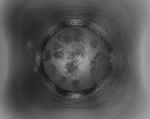 X0000100310741200806051455