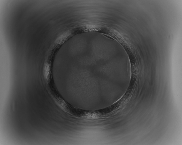 X0000100310742200806051455