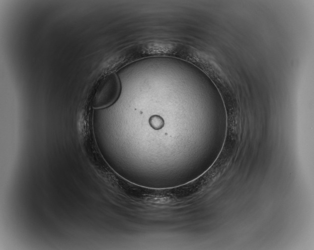 X0000100310743200806051455