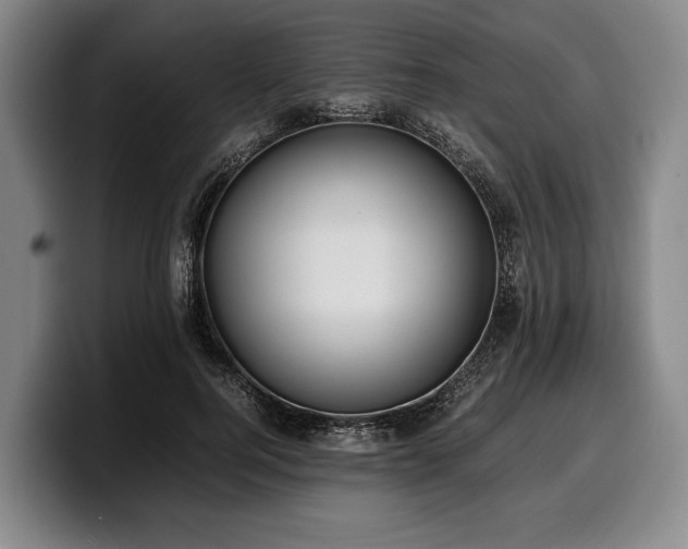 X0000100310744200806051455