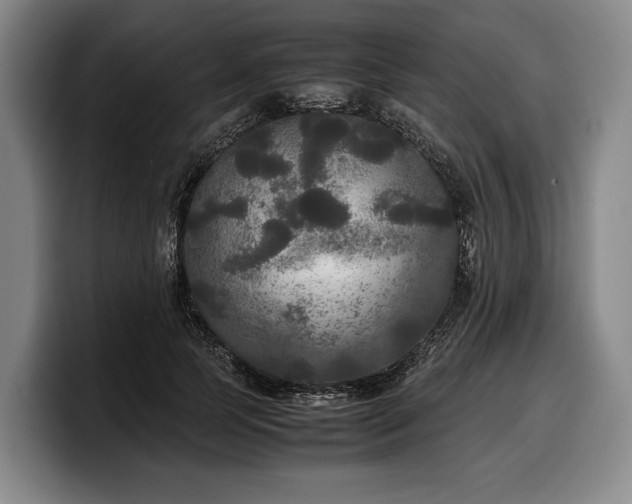 X0000100310745200806051455