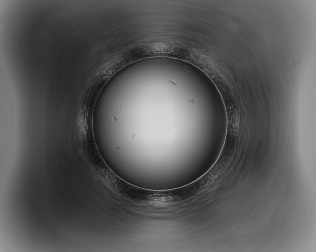 X0000100310746200806051455