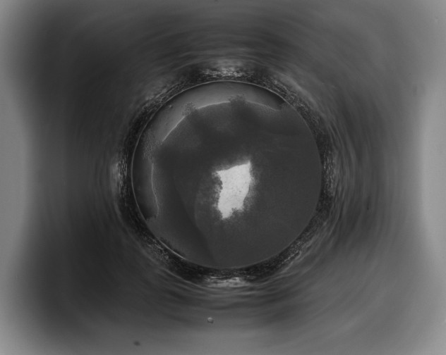 X0000100310747200806051455