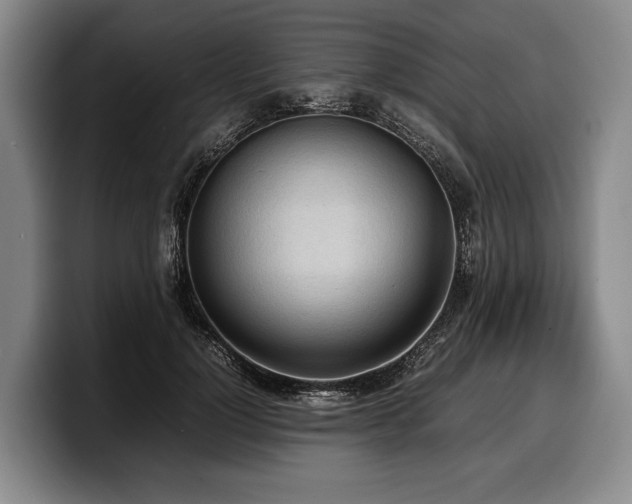 X0000100310748200806051455