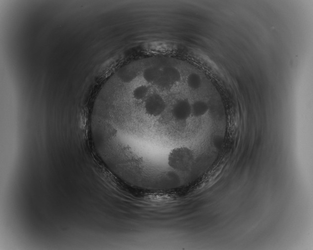 X0000100310749200806051455