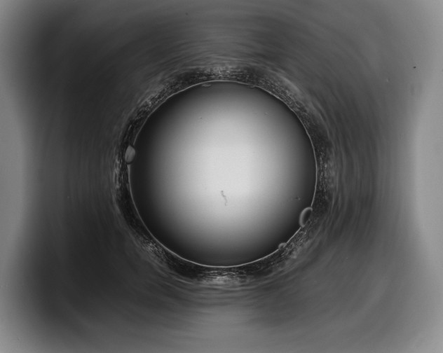 X0000100310750200806051455