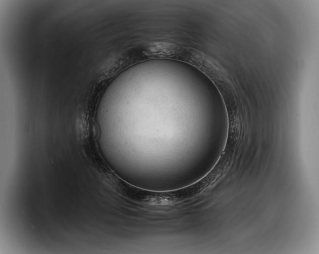X0000100310751200806051455