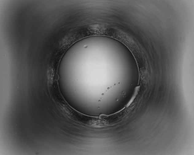 X0000100310752200806051455