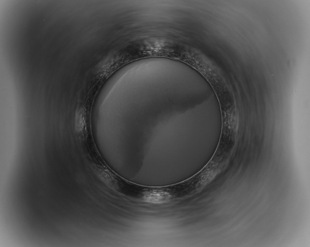 X0000100310754200806051455