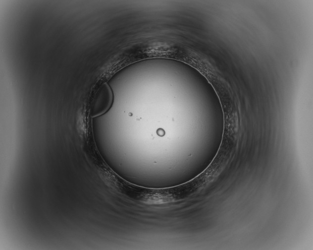 X0000100310755200806051455