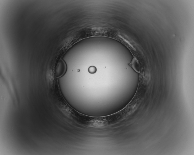 X0000100310756200806051455