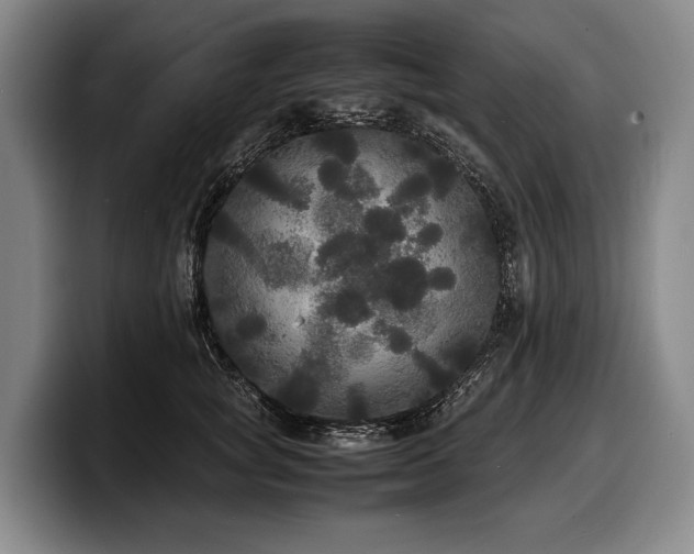 X0000100310757200806051455
