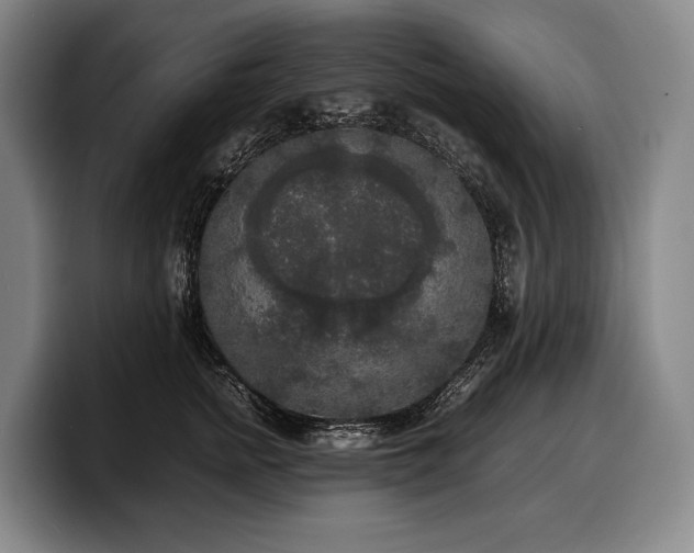 X0000100310758200806051455